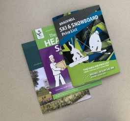 Leaflet Flyer Sample