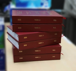 Thesis Printing Sample Thesis Printing Sample